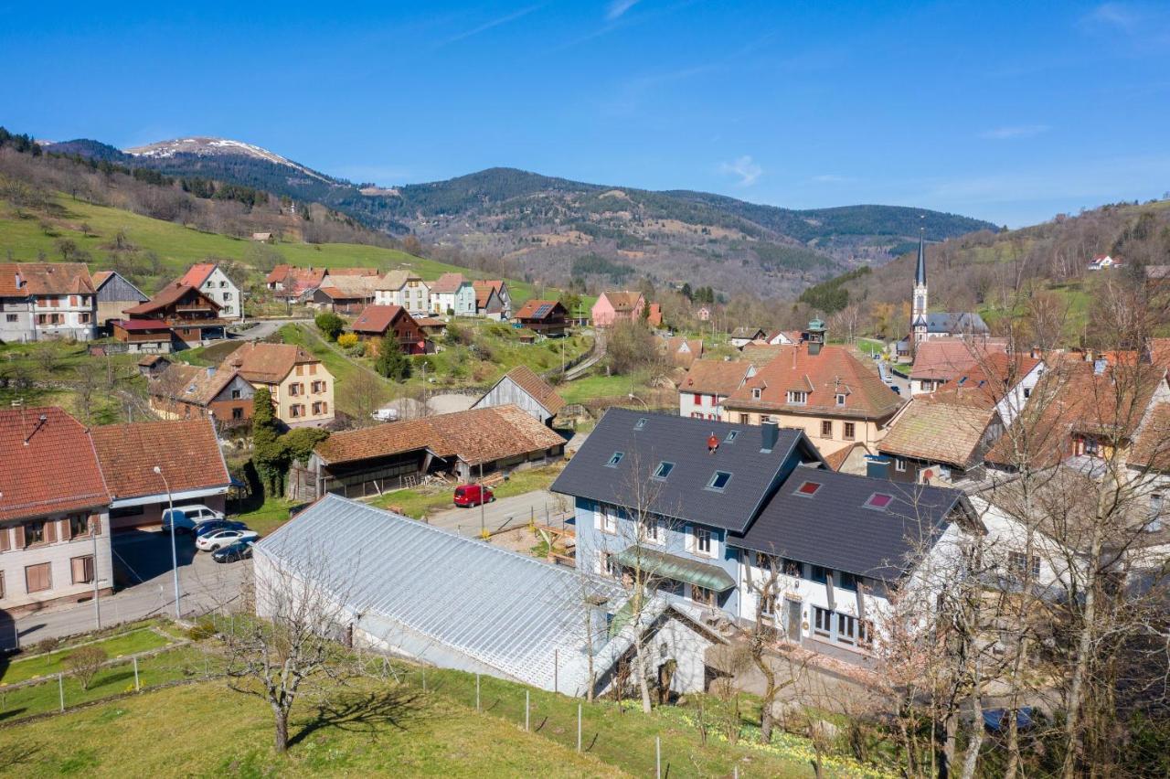 Locations des 3 sommets avec Sauna et Spa en Alsace Sondernach Extérieur photo