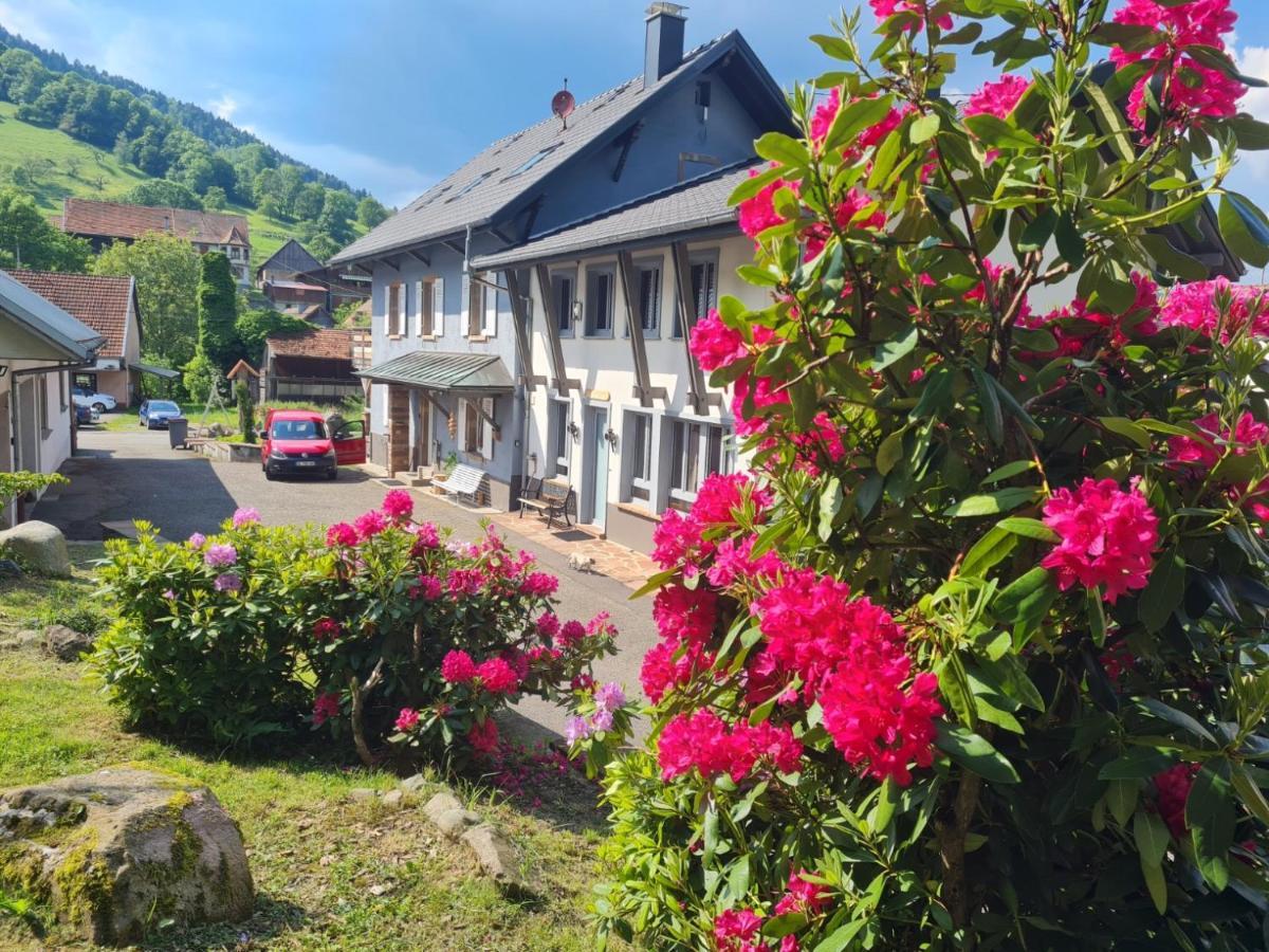 Locations des 3 sommets avec Sauna et Spa en Alsace Sondernach Extérieur photo