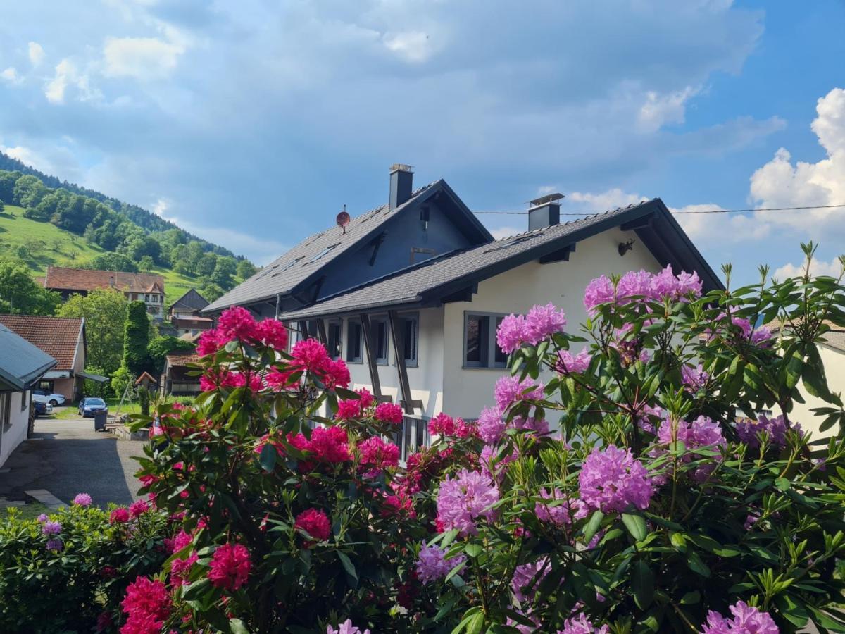 Locations des 3 sommets avec Sauna et Spa en Alsace Sondernach Extérieur photo