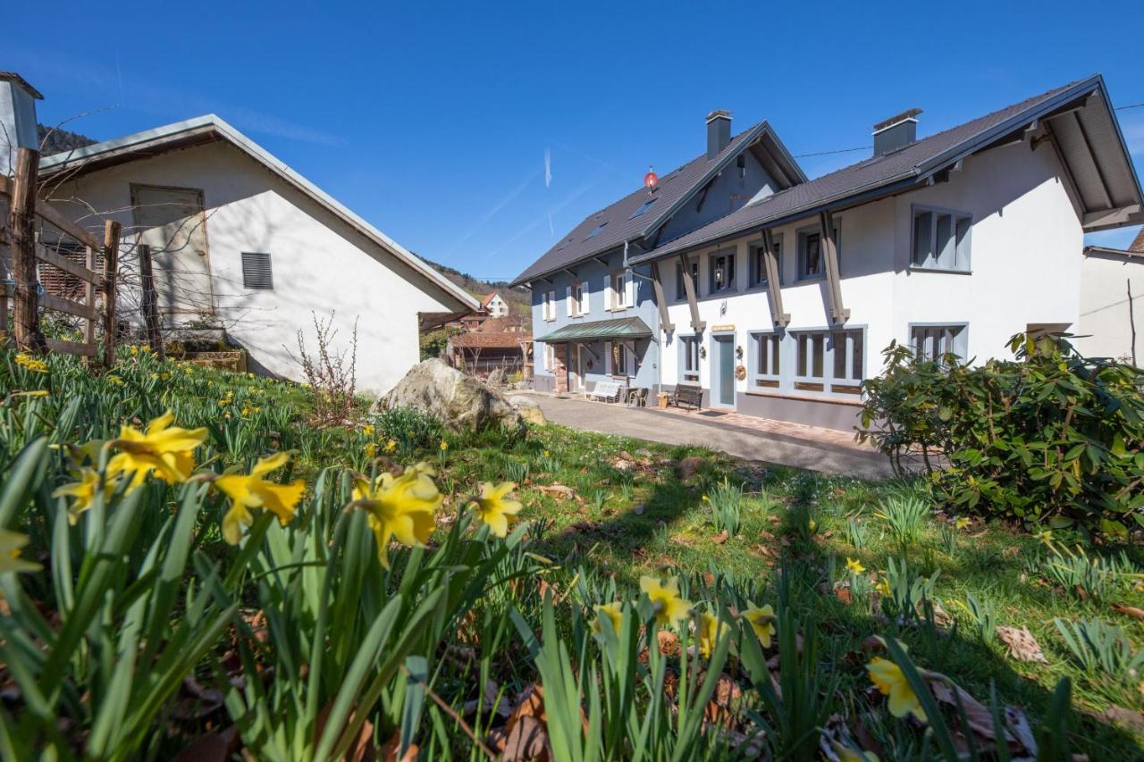 Locations des 3 sommets avec Sauna et Spa en Alsace Sondernach Extérieur photo