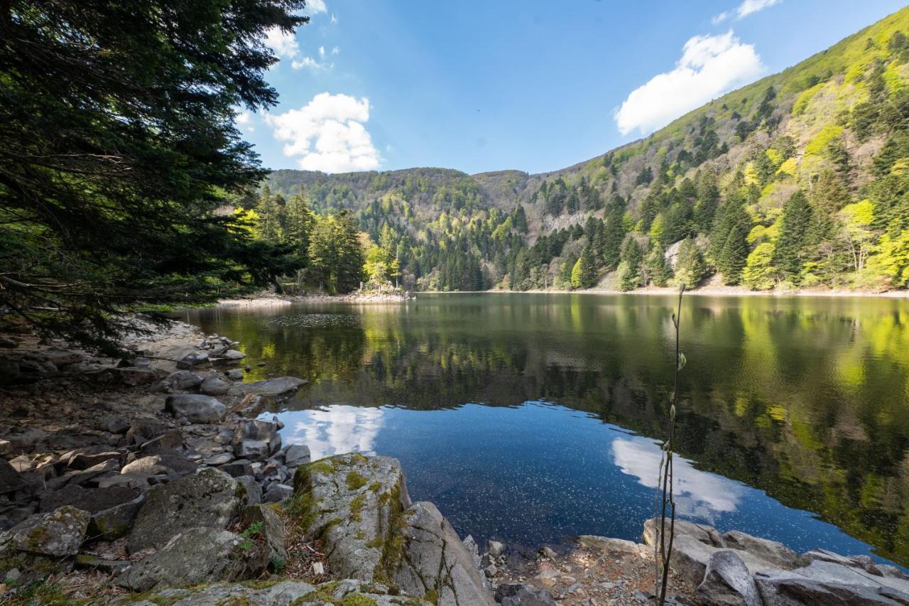 Locations des 3 sommets avec Sauna et Spa en Alsace Sondernach Extérieur photo