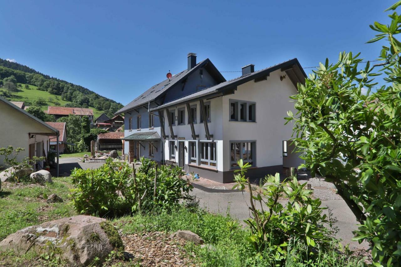 Locations des 3 sommets avec Sauna et Spa en Alsace Sondernach Extérieur photo