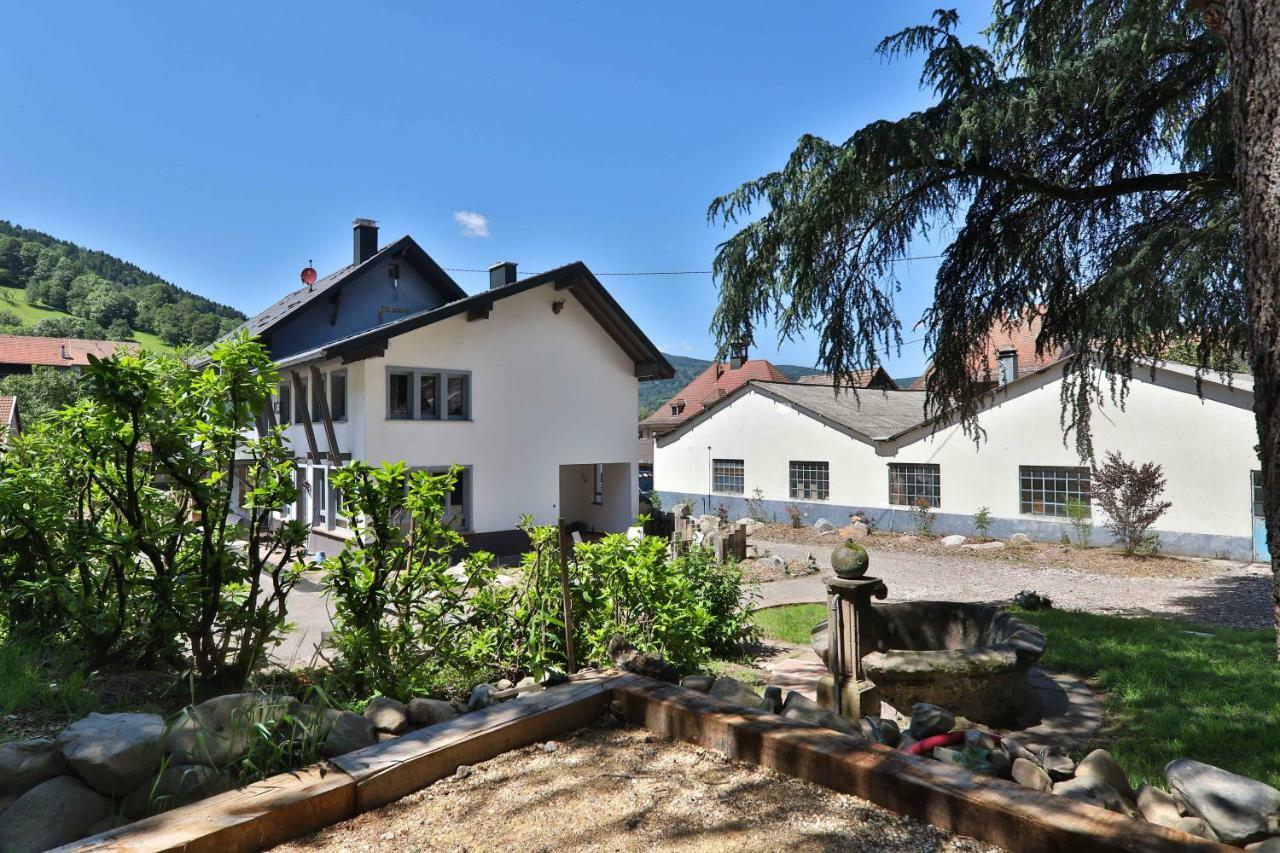 Locations des 3 sommets avec Sauna et Spa en Alsace Sondernach Extérieur photo